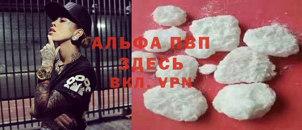 сатива Баксан