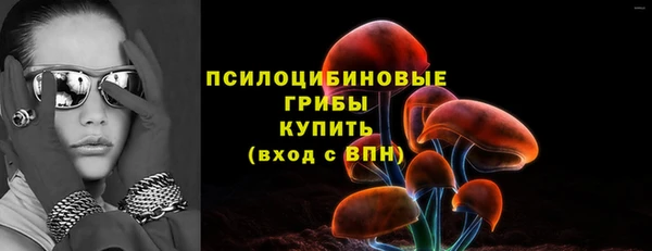 сатива Баксан