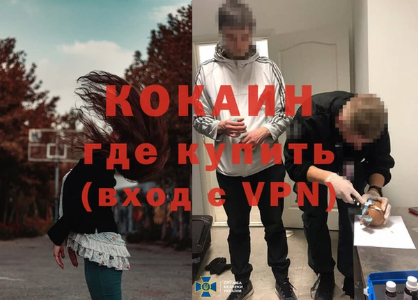 сатива Баксан